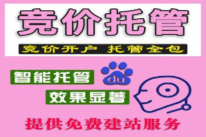 成功案例：专业SEM托管服务助力企业拓展海外市场